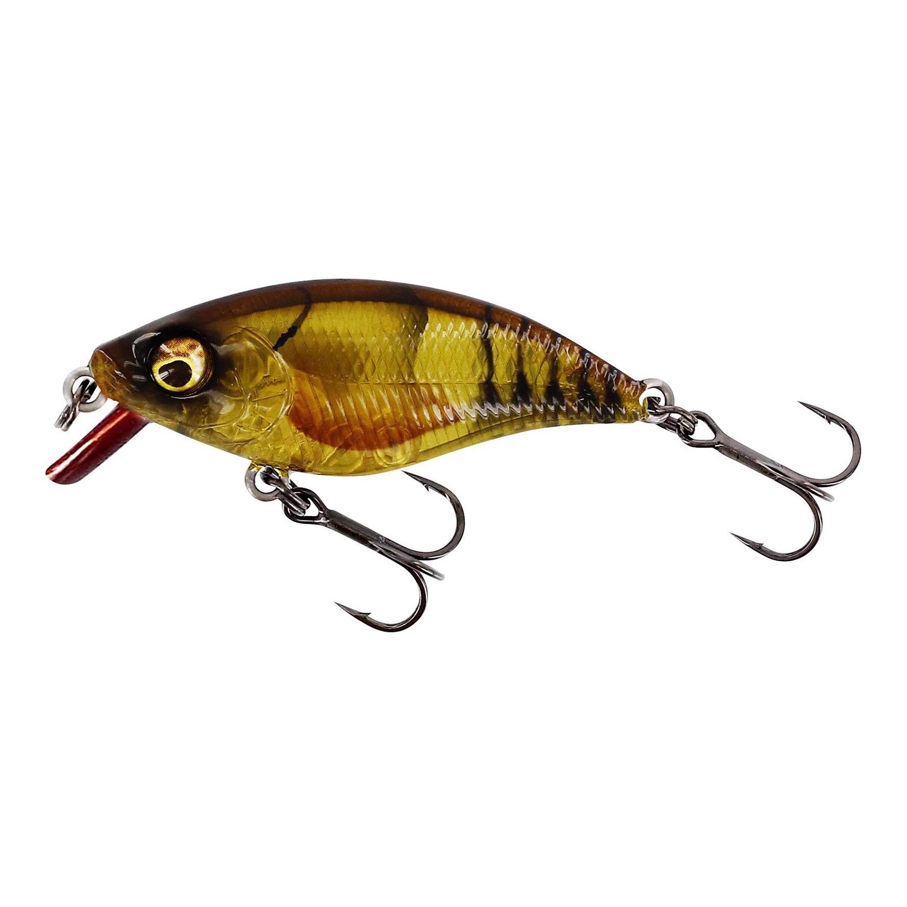 Clear Brown Craw