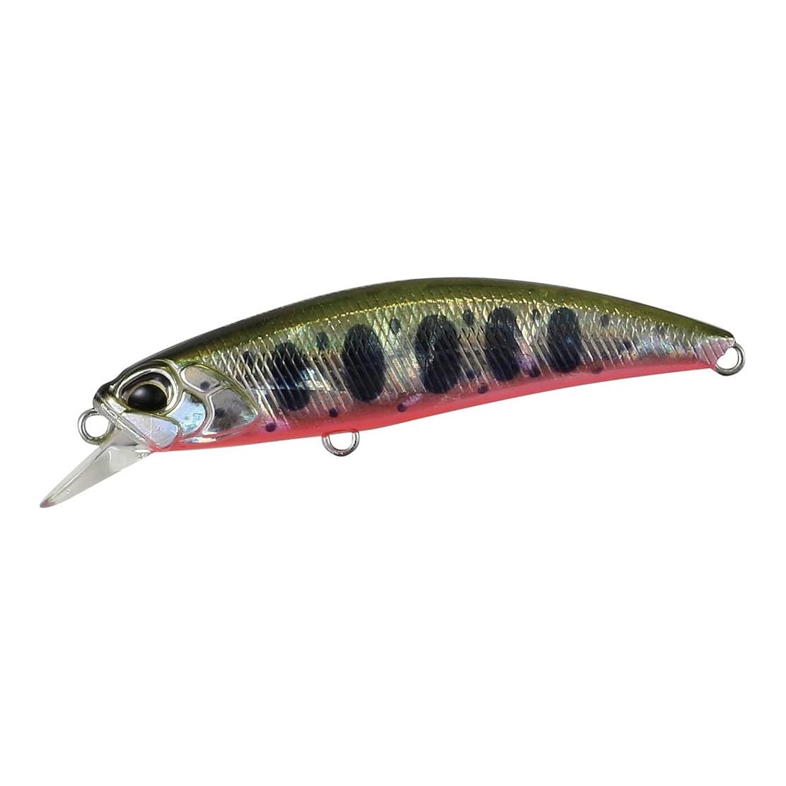 Yamame Red Belly