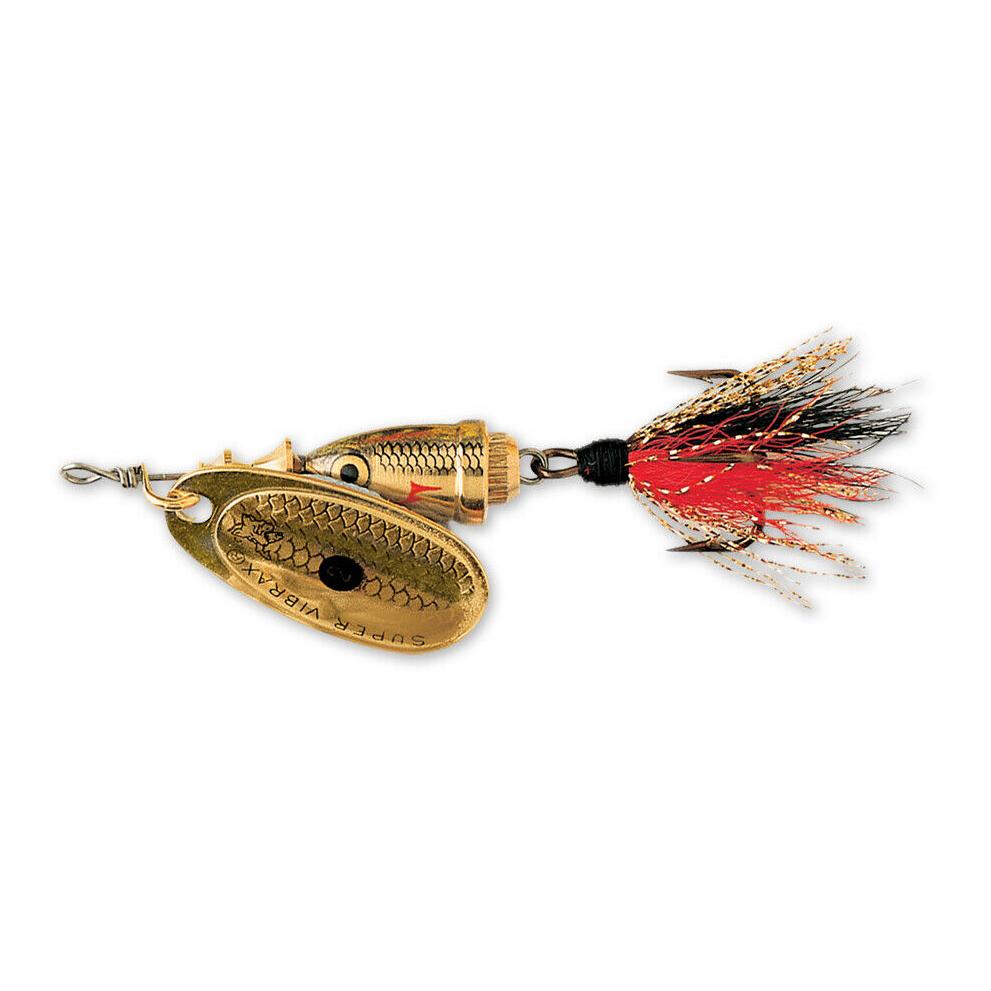 Golden Shiner