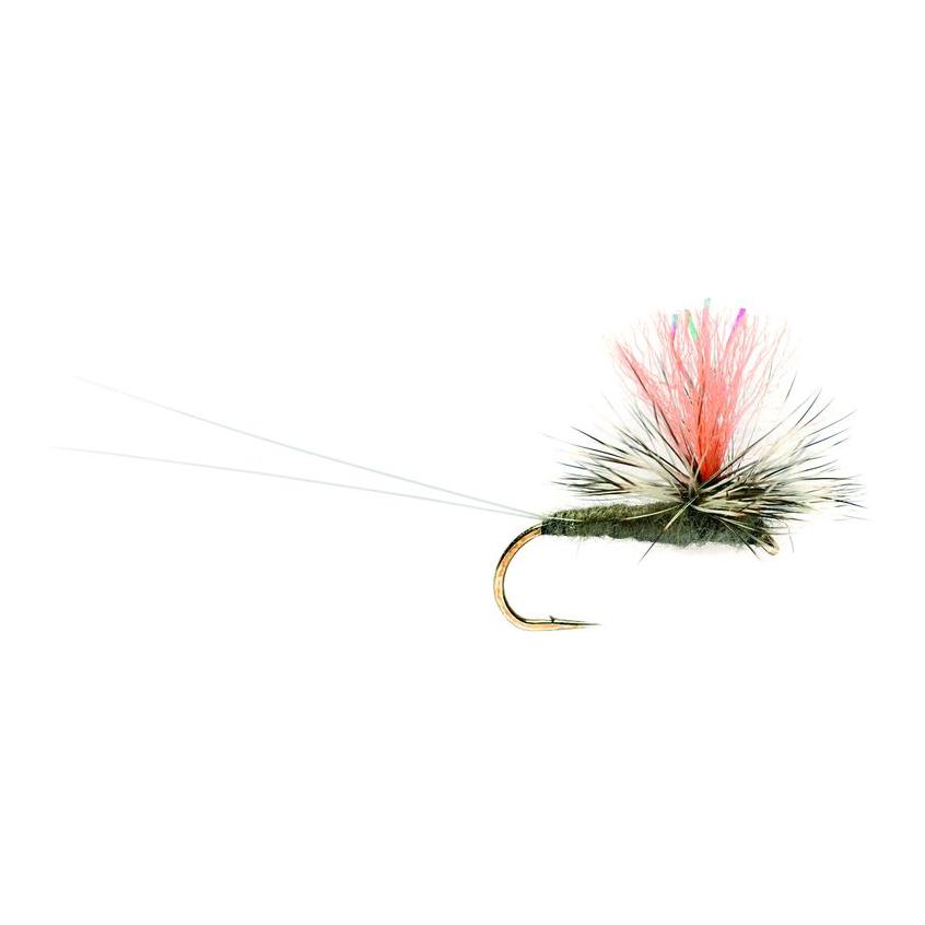 CJ's Twinkling Gulper - Trockenfliege - Produktbild 1