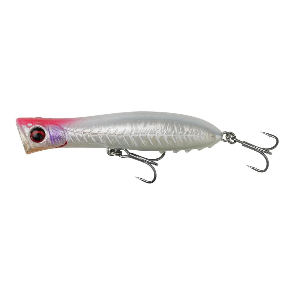 Sardine