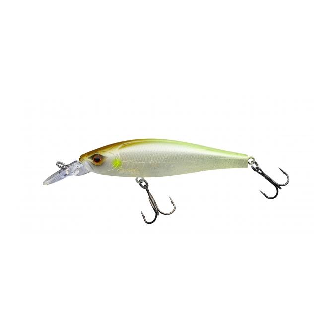 Gamera 90 F – Poisson nageur