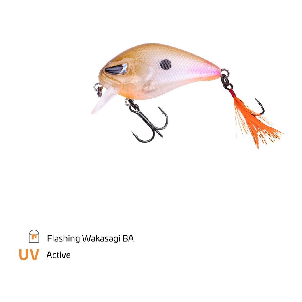 Flashing Wakasaki