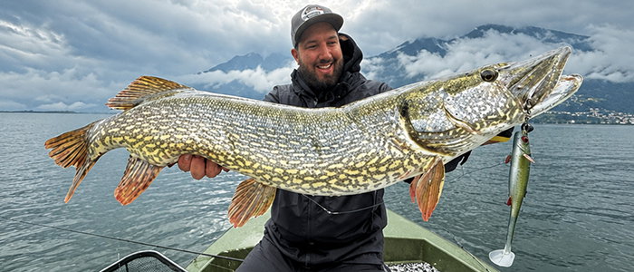 FI-1_August_Aktion