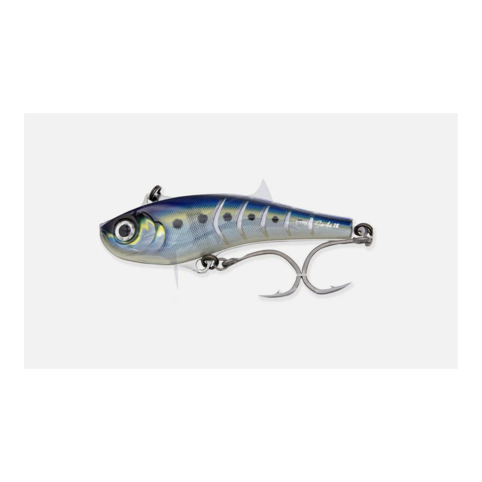 Blue Sardine