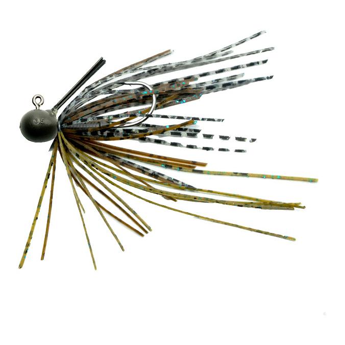 Zebra Bug