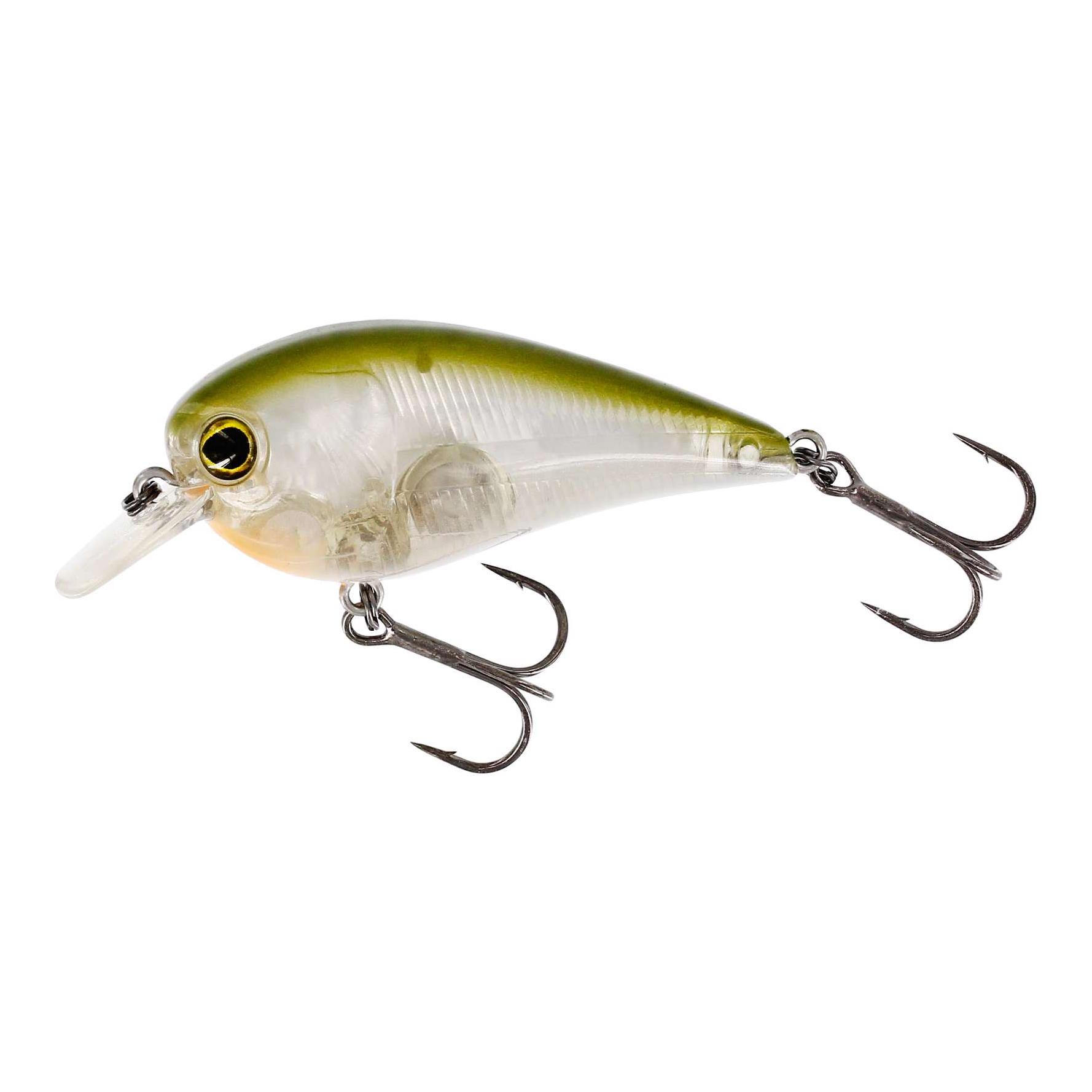 Clear Olive