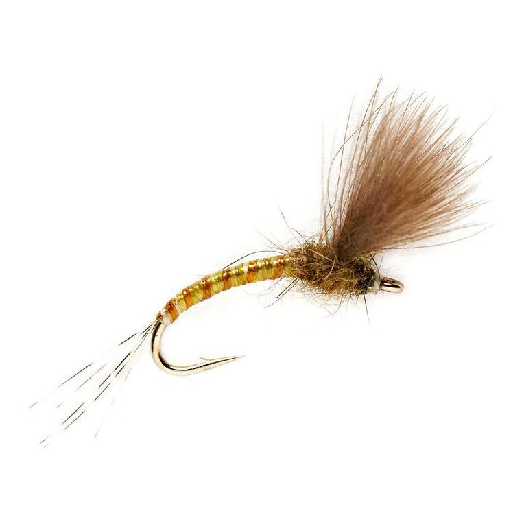 KJ Olive Emerger - Trockenfliege - Produktbild 1