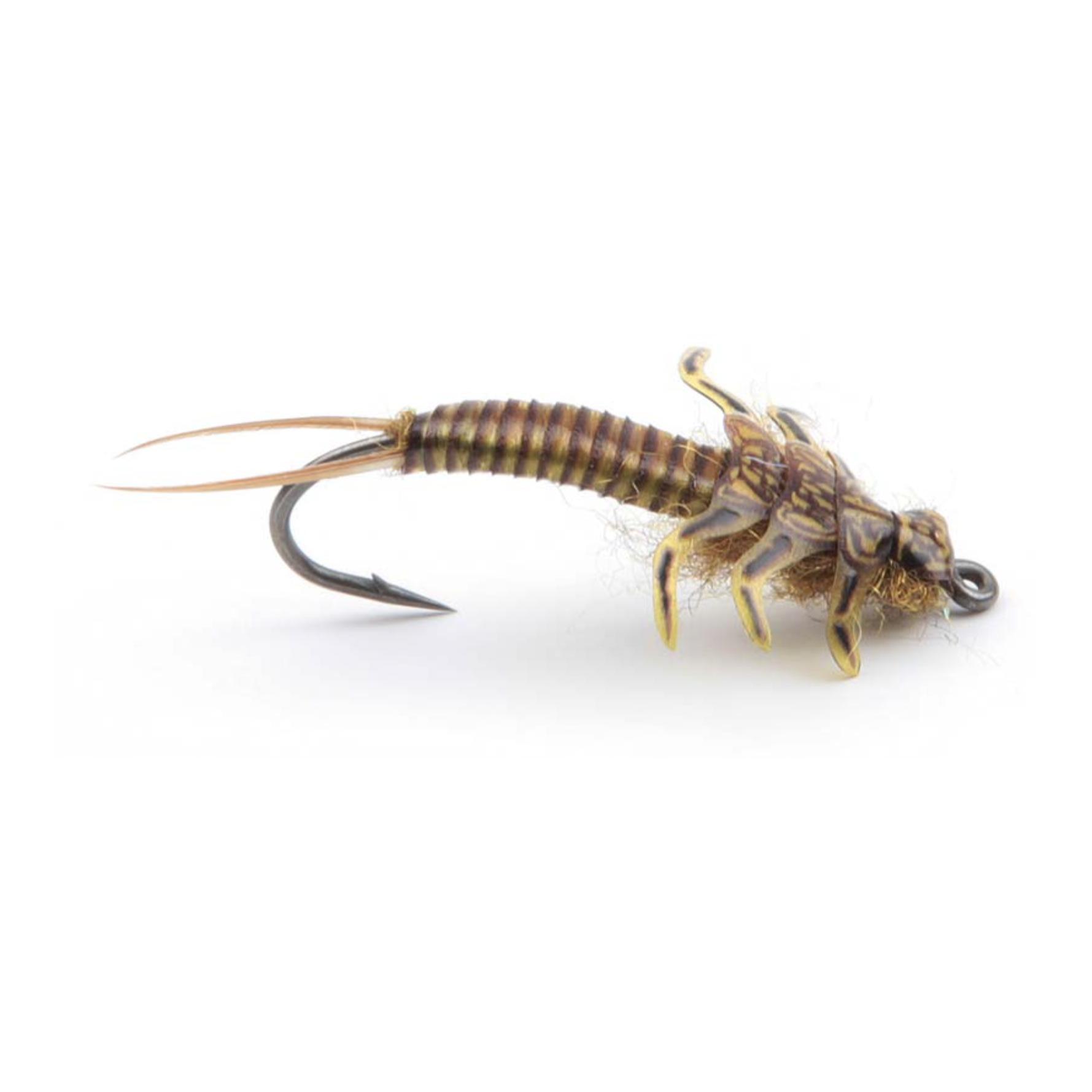 Stonefly Kits - Folien - Produktbild 2