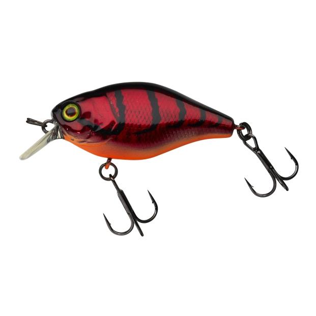 Aurora Red Craw