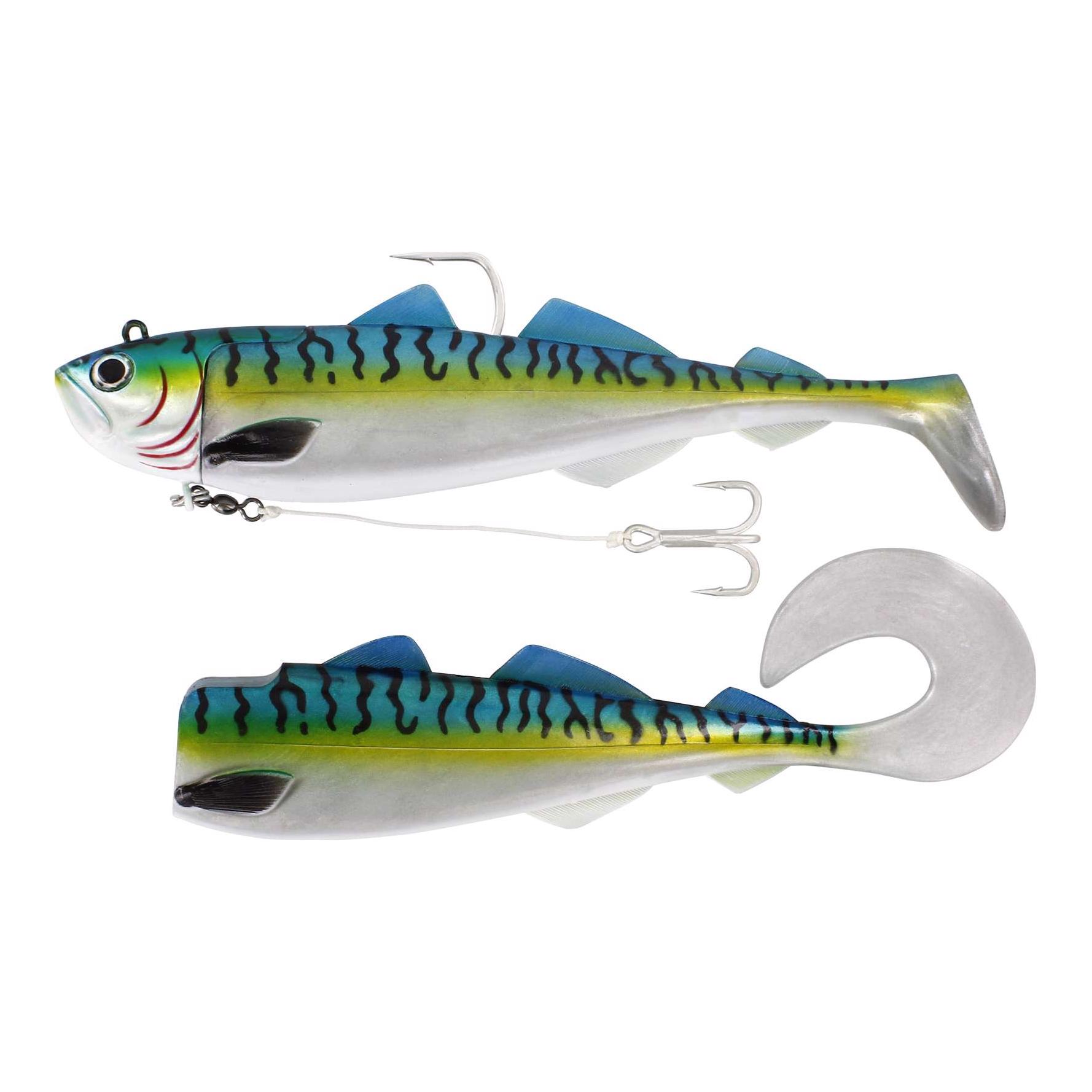 Mackerel