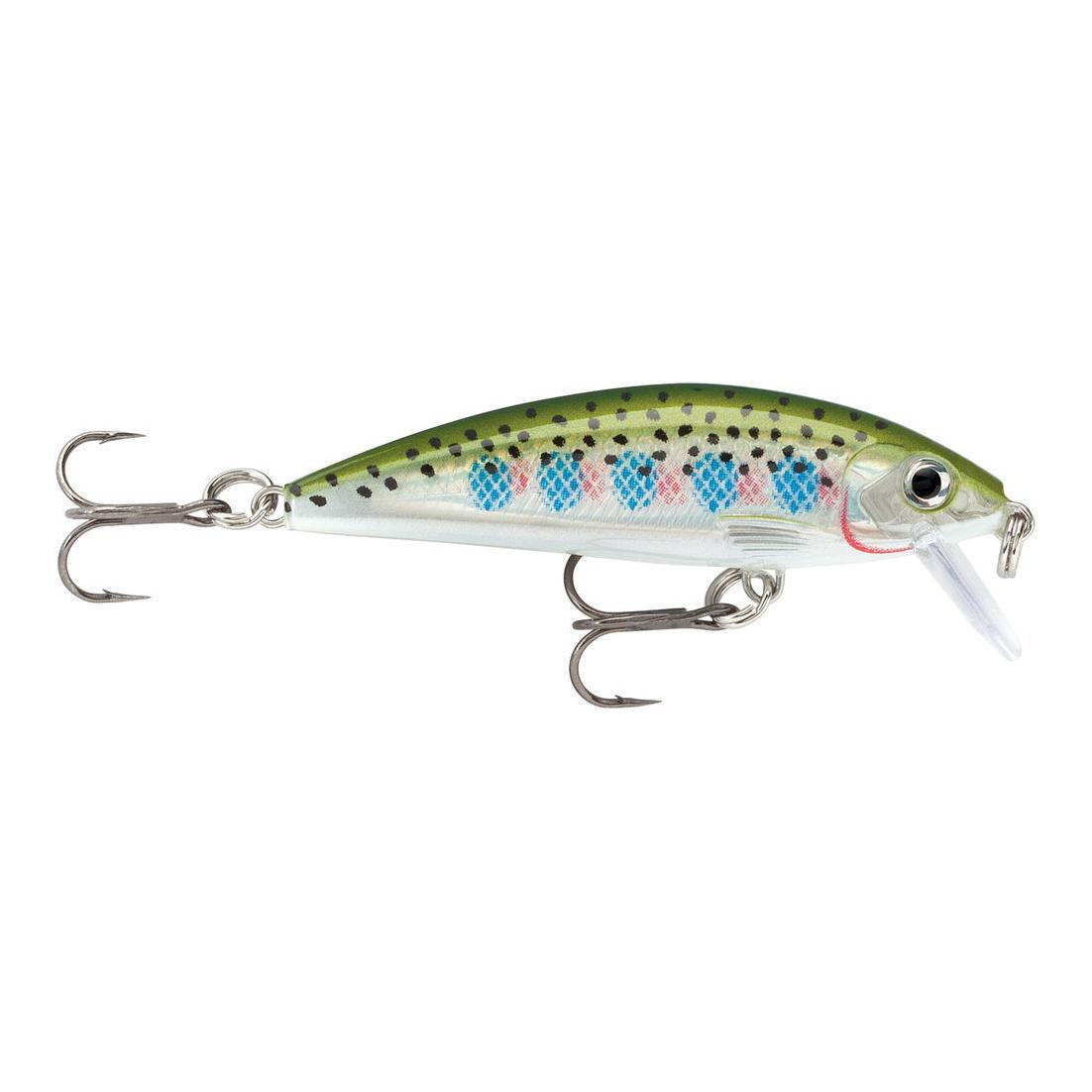 Rainbow Trout