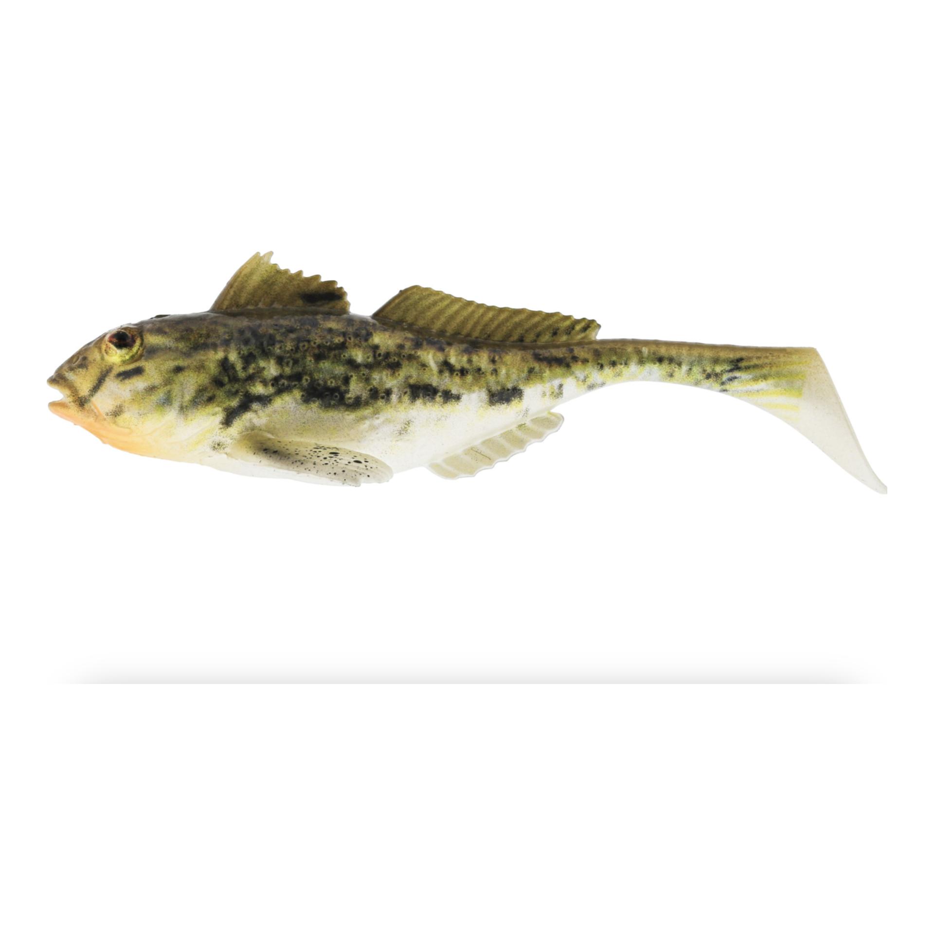 Spotted Goby