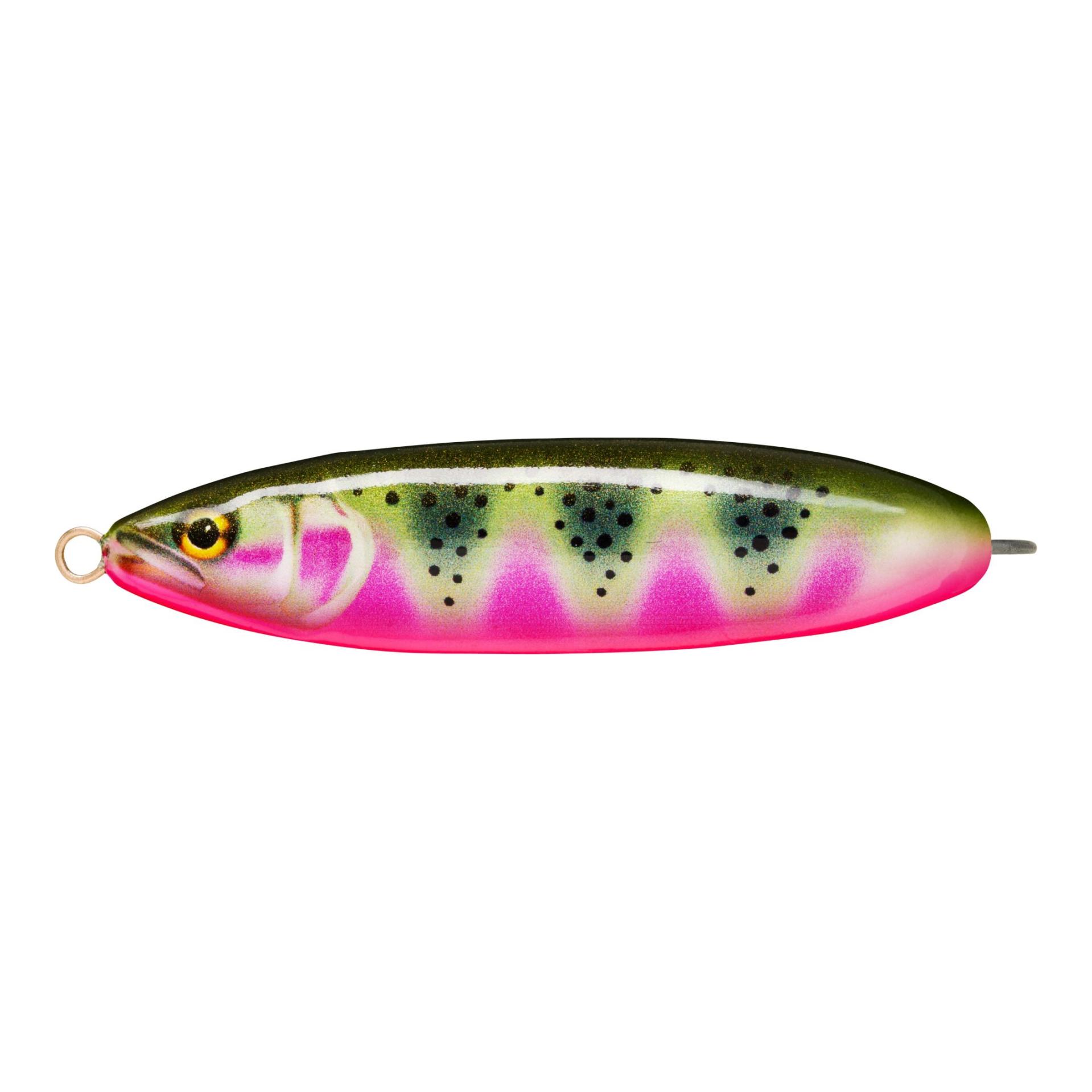 Artistic Rainbow Trout