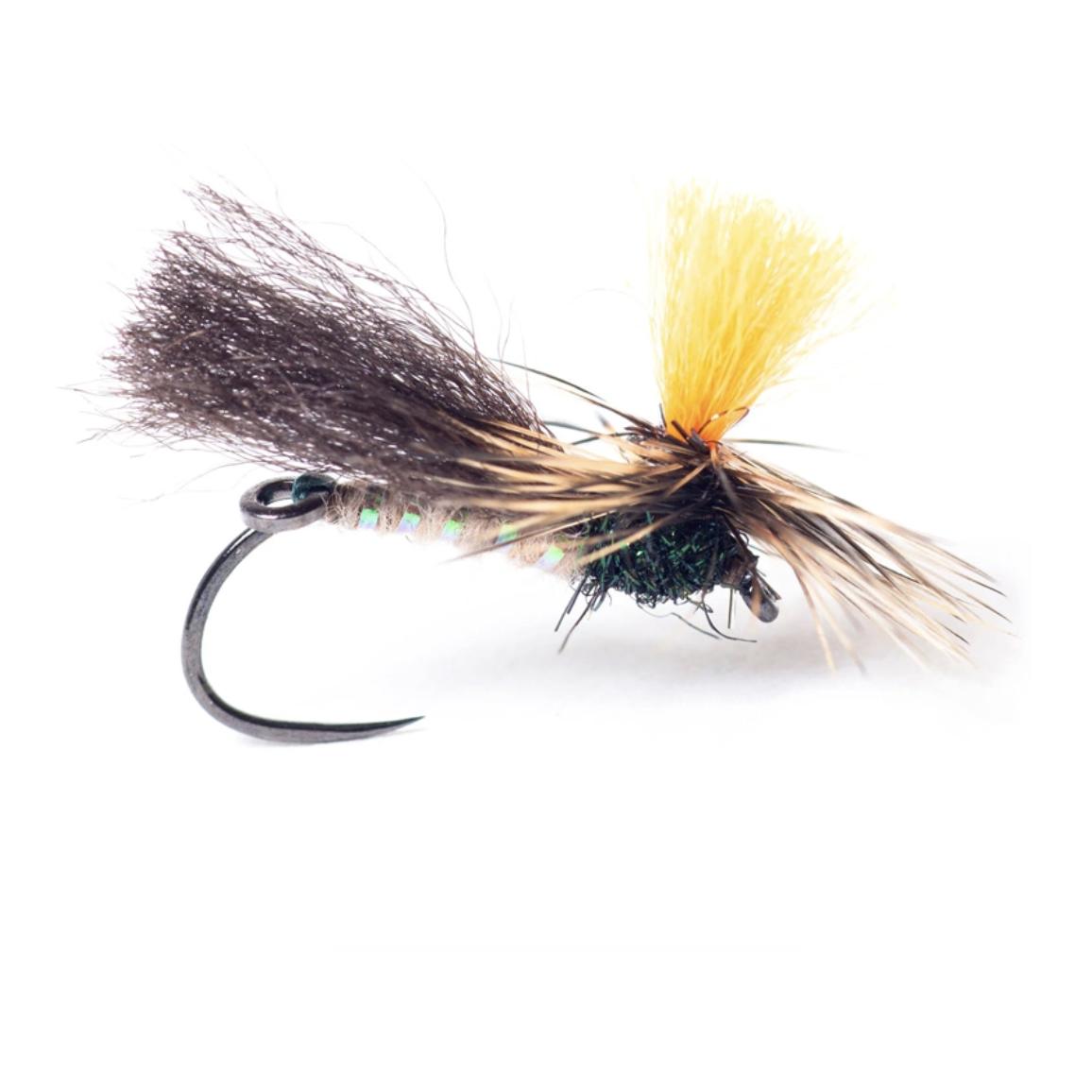 Guideline Indi Caddis