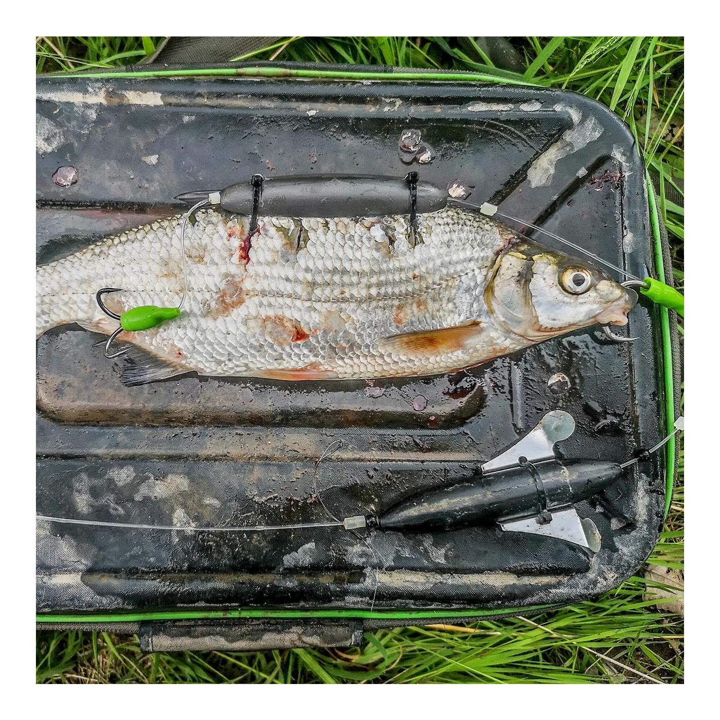 Deadbait U-Float - U-Pose - Produktbild 2