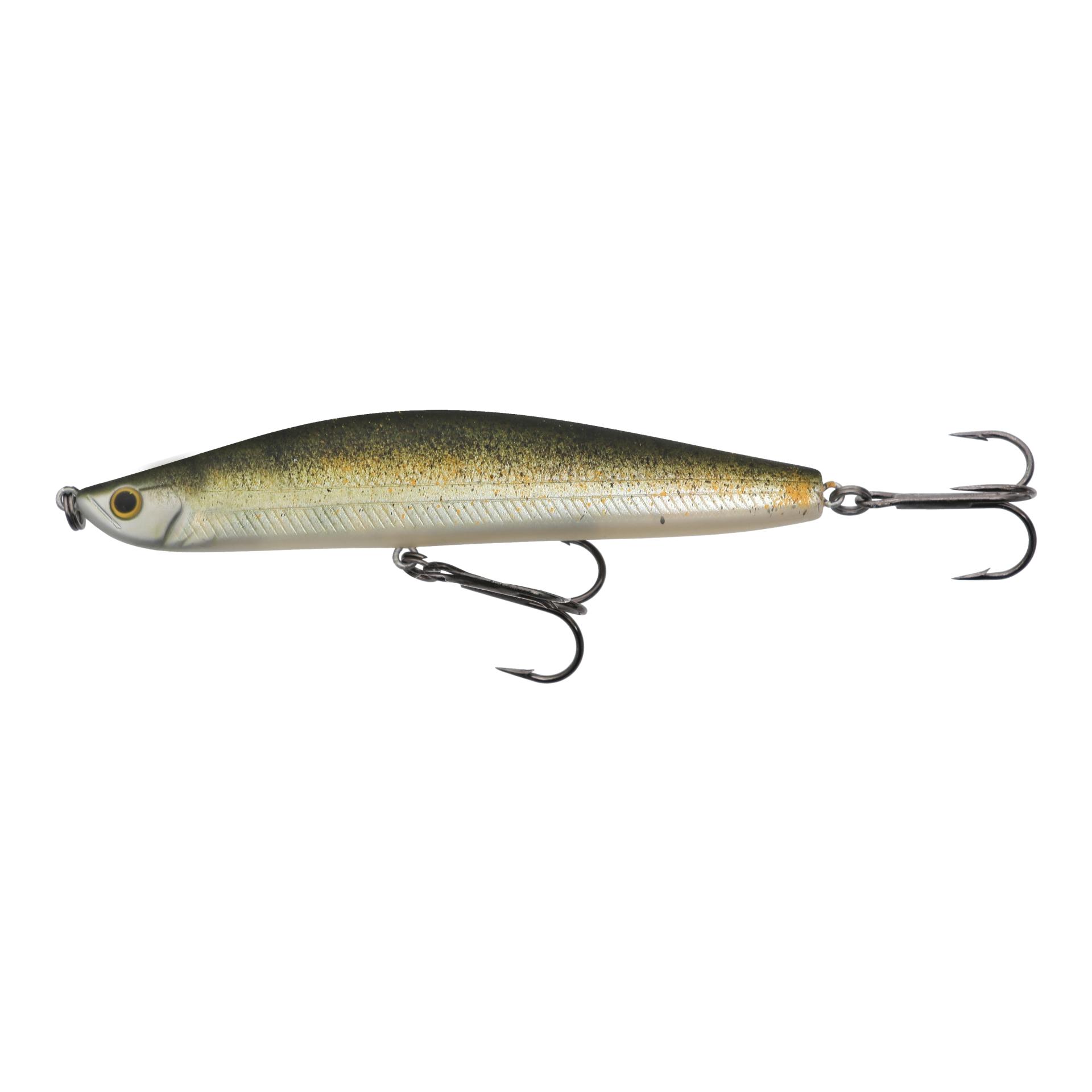 Lake Trout