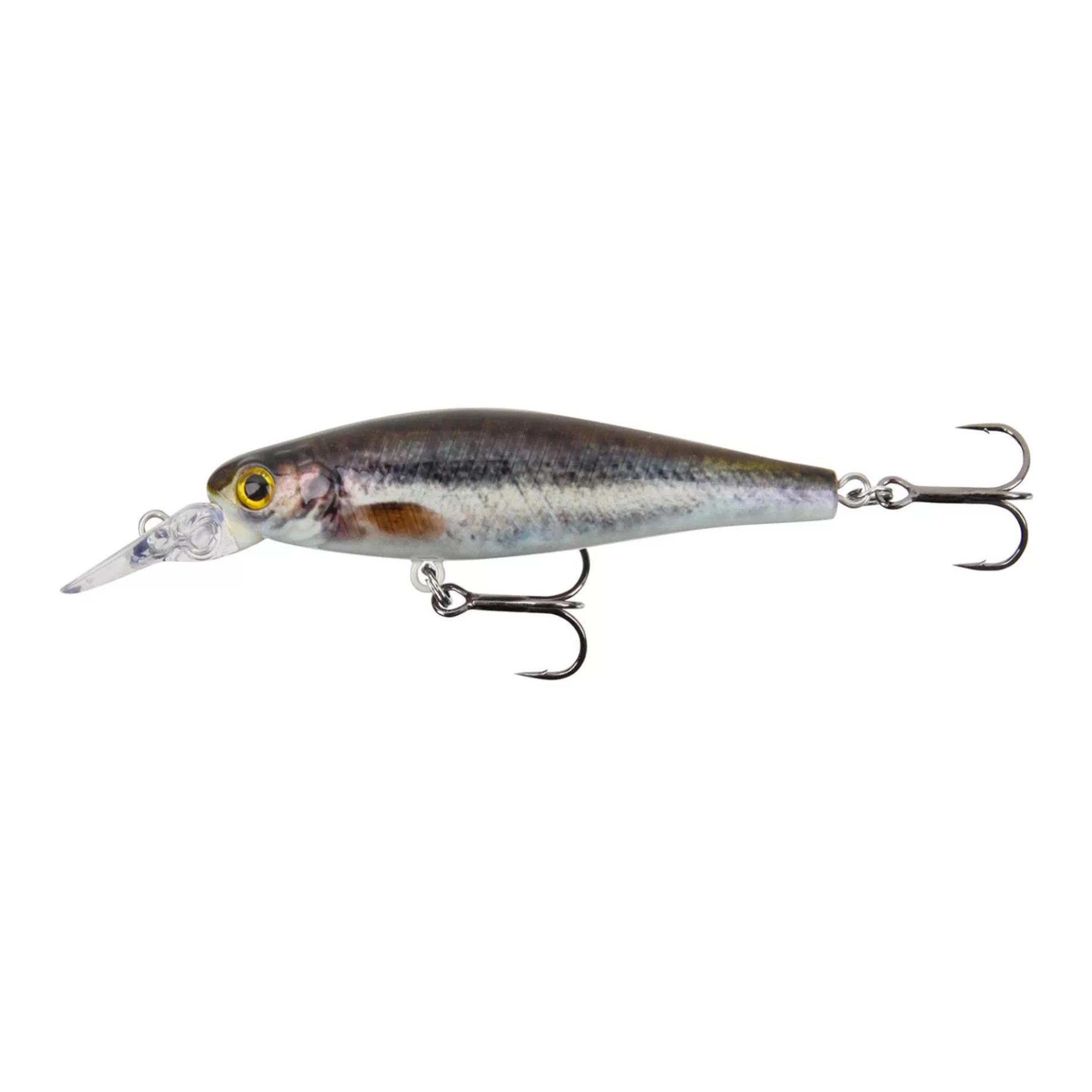 Minnow