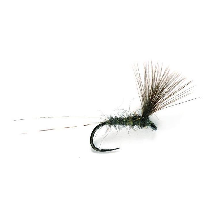 Fulling Mill JL CdC Upwing o.W. - Trockenfliege