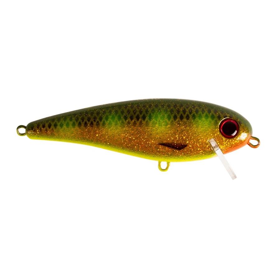 Hot Spotted Bullhead