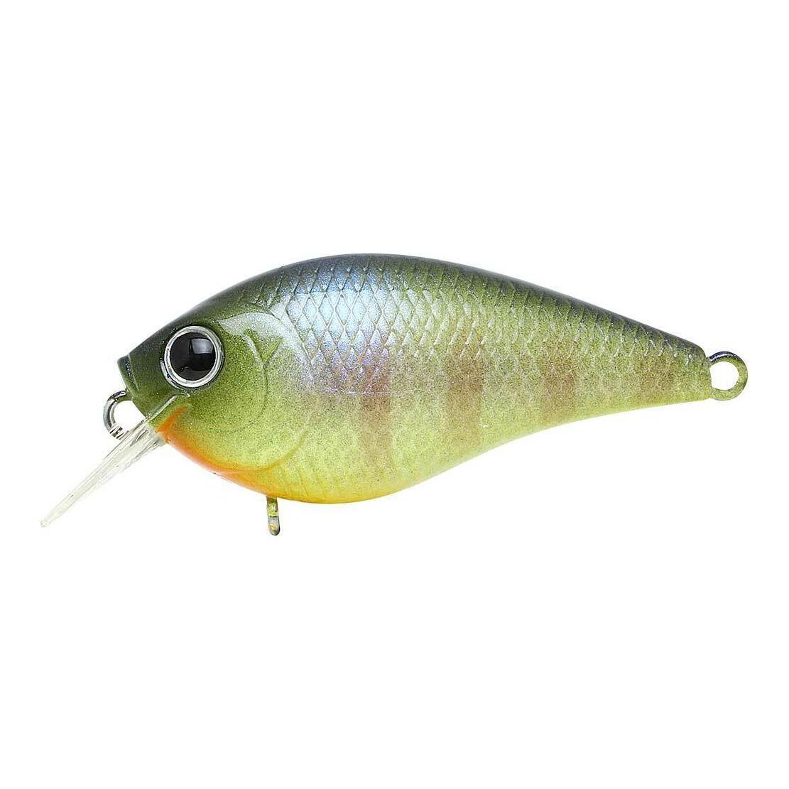 BE Gill