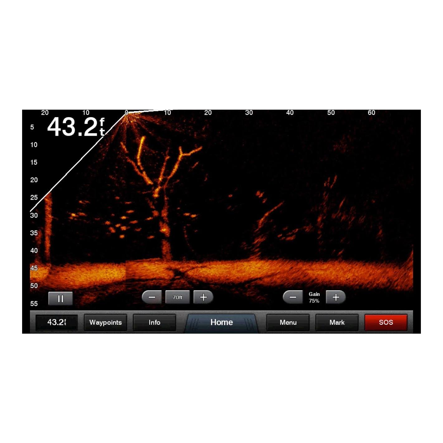 Garmin Panoptix LiveScope™ System LVS32