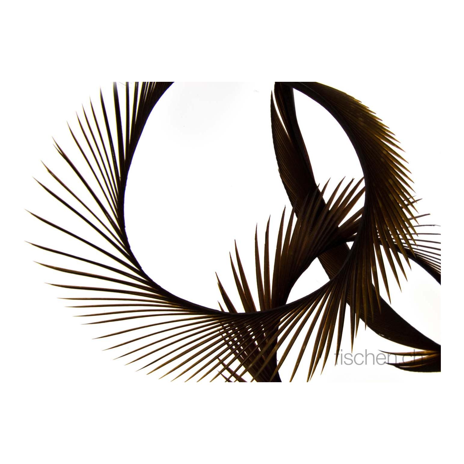 Goose Biots - Brown - Oie