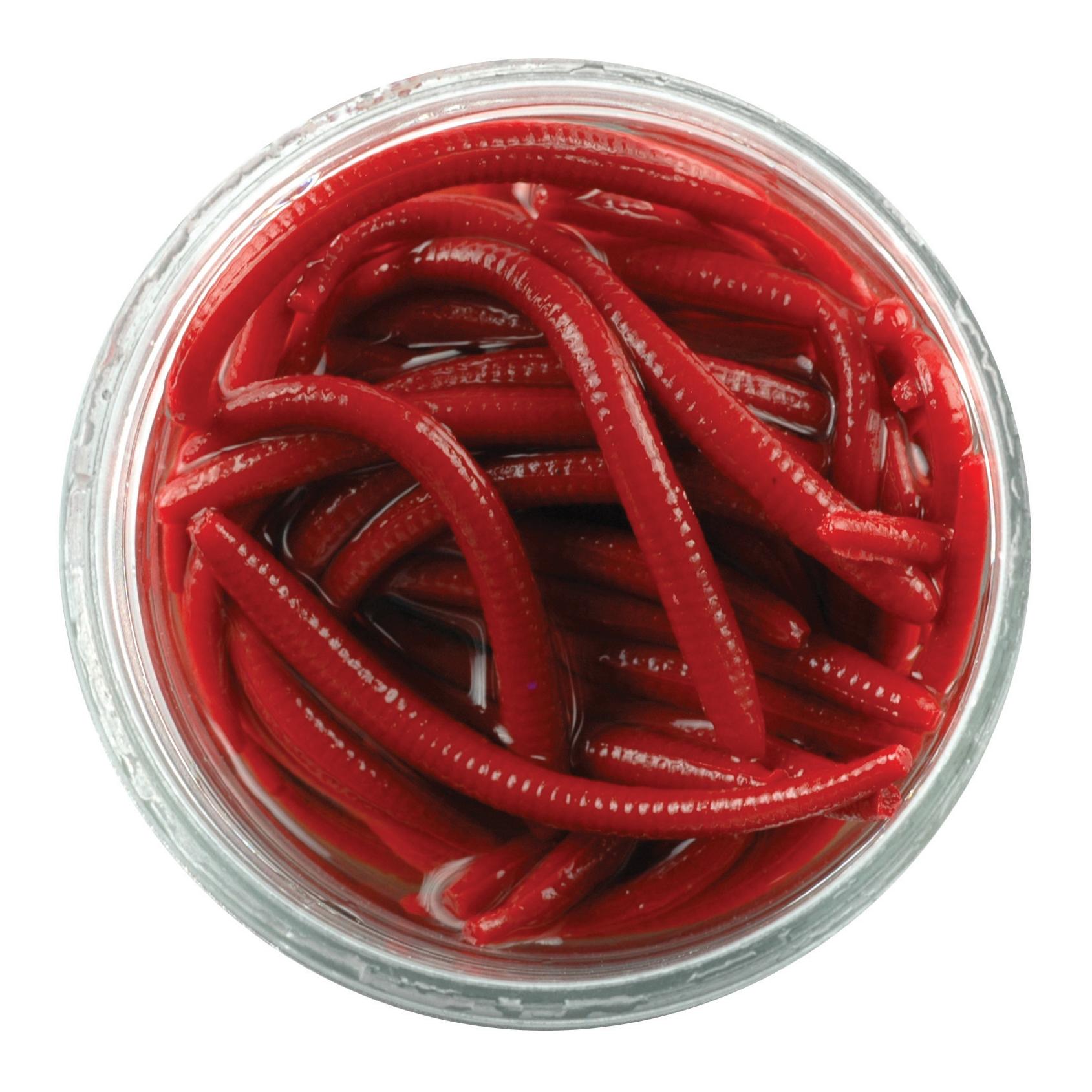 Gulp Alive Angle Worm Red Wiggler
