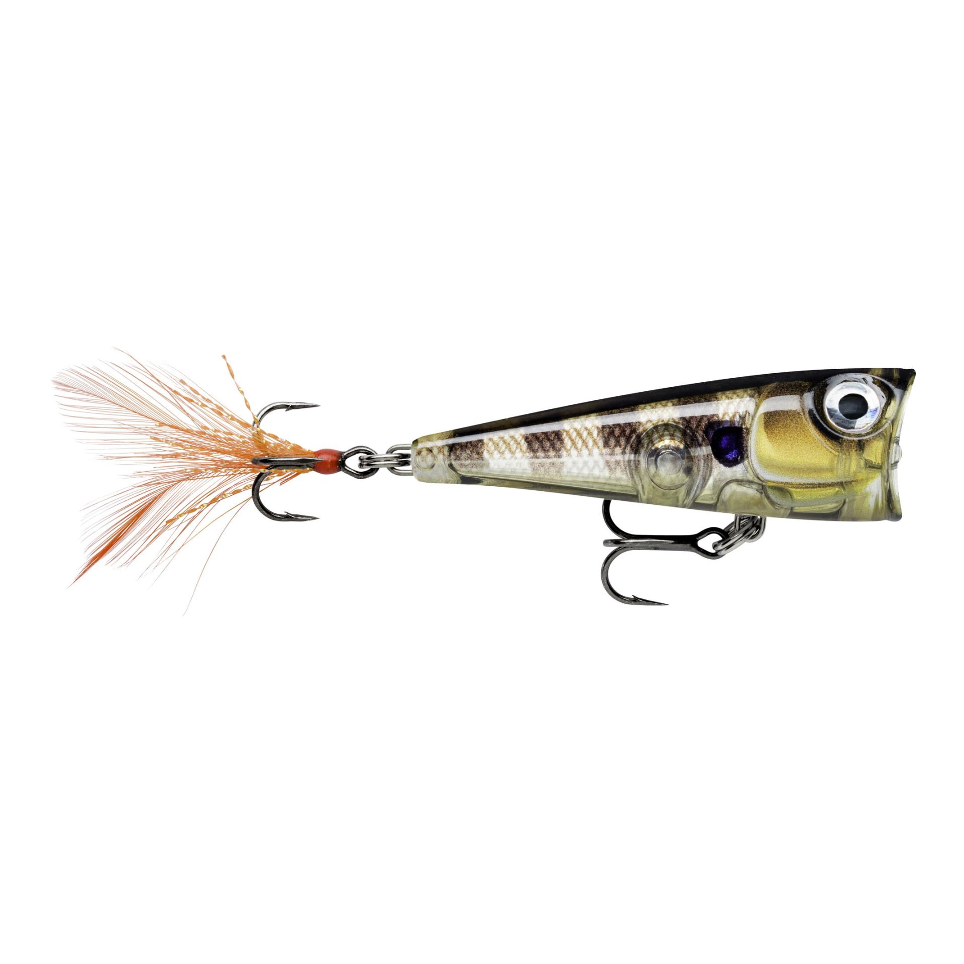Glassy Gill UV