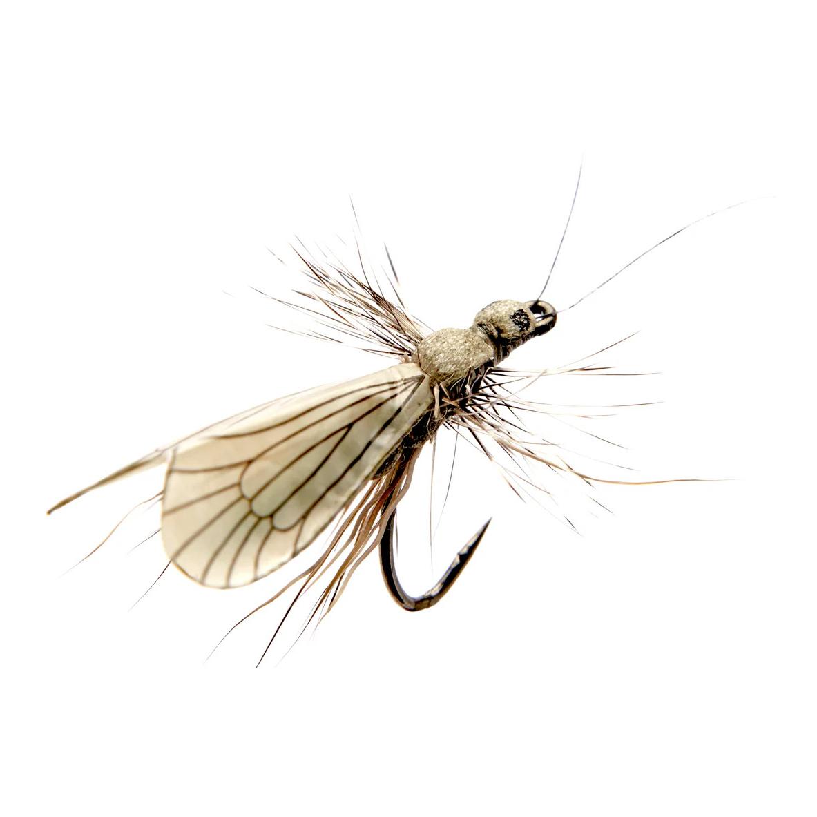 J:son Caddis Adult - Trockenfliege