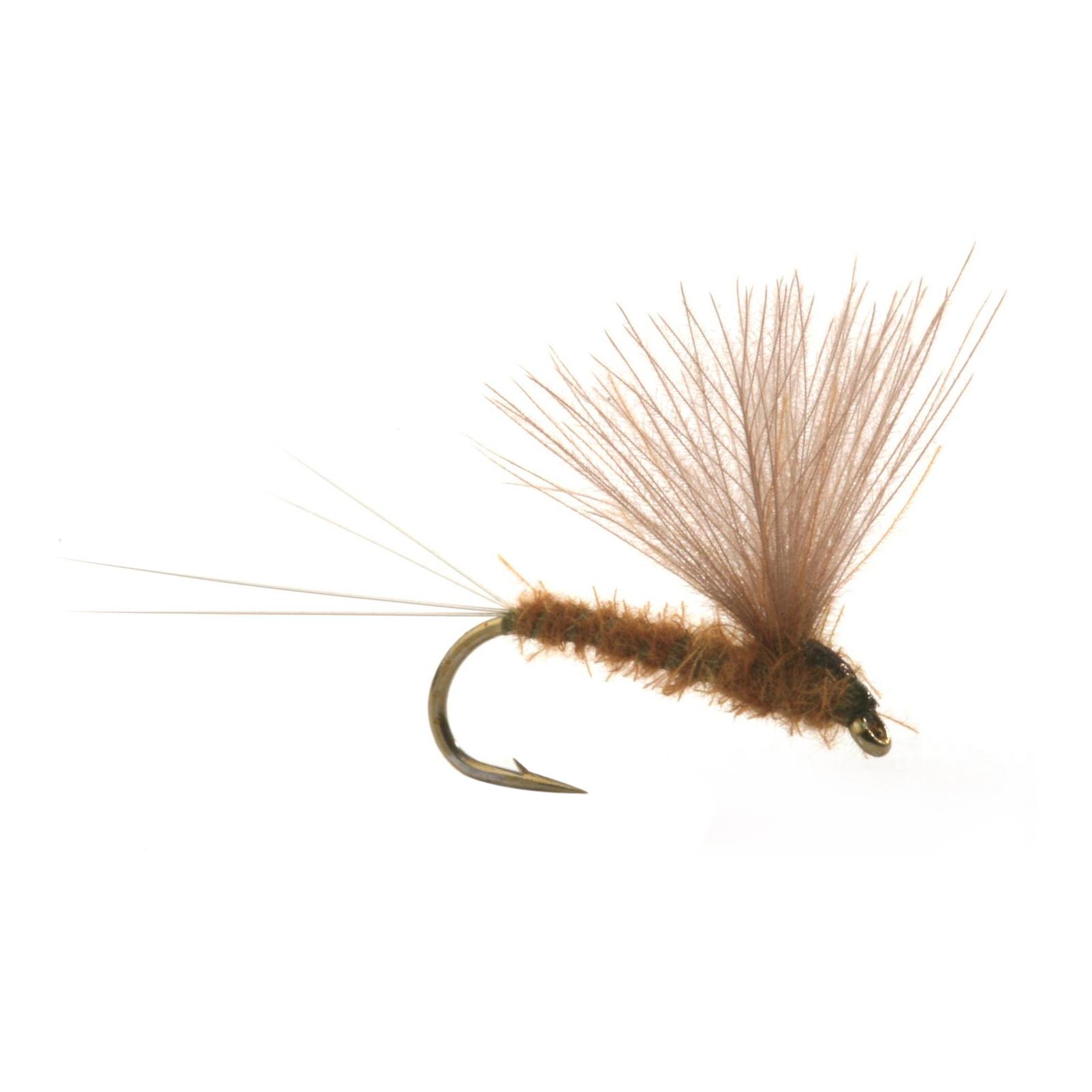 Umpqua Runes CDC Nohackle Olive - Trockenfliege