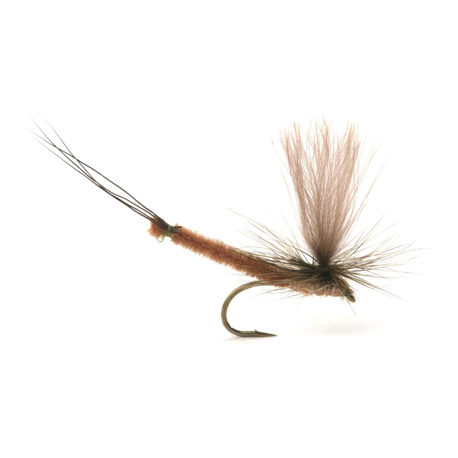 Guideline Vulgata Dun - Trockenfliege