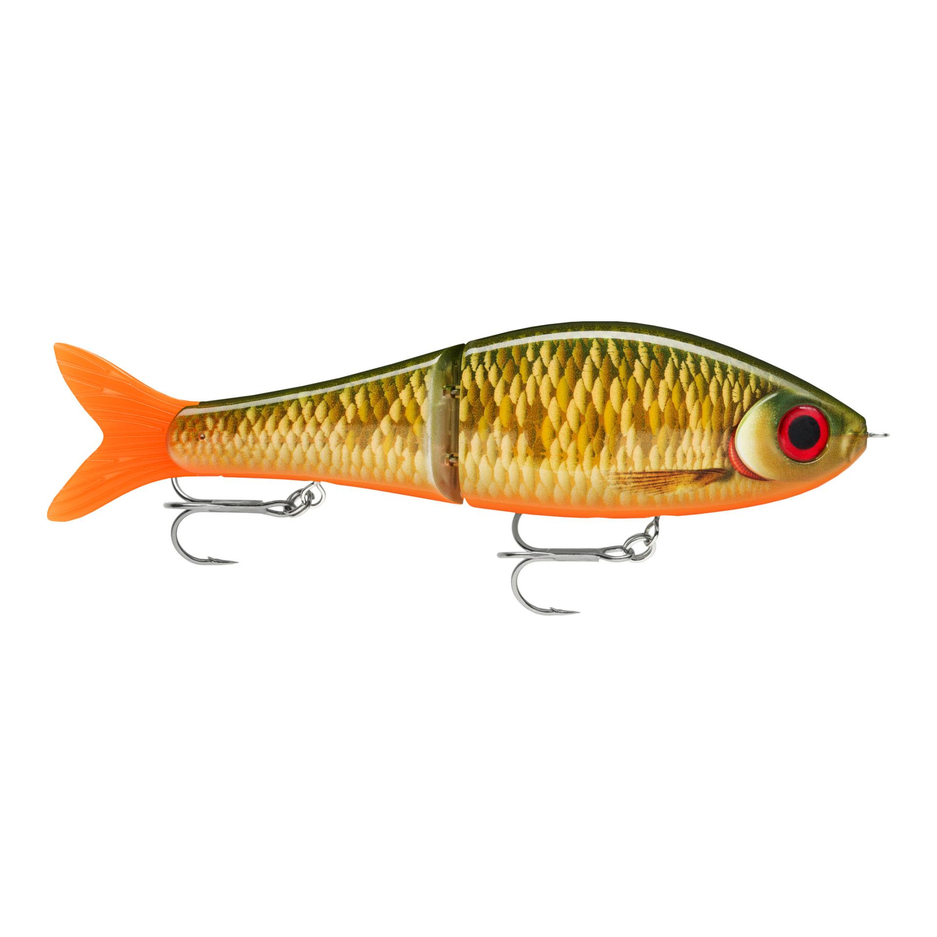 Scaled Roach
