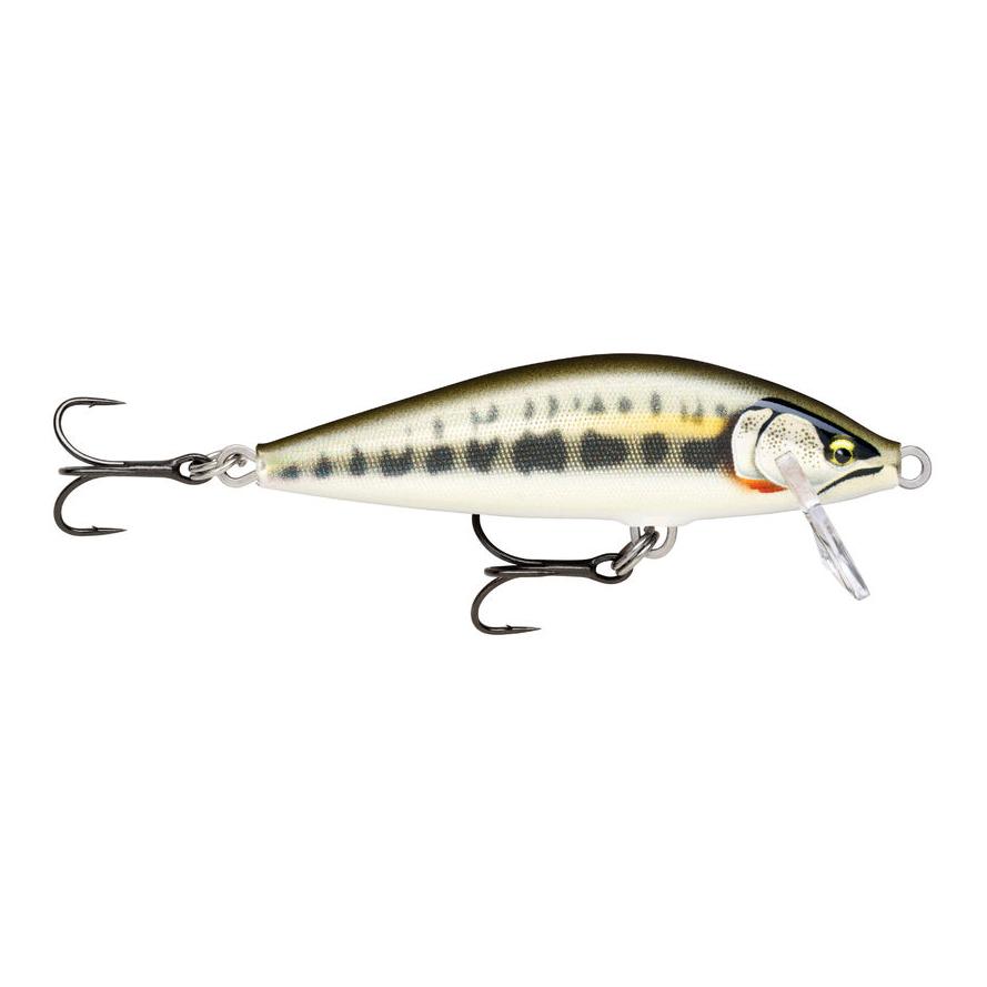 Gilded Minnow