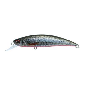 Roach ND Red Belly