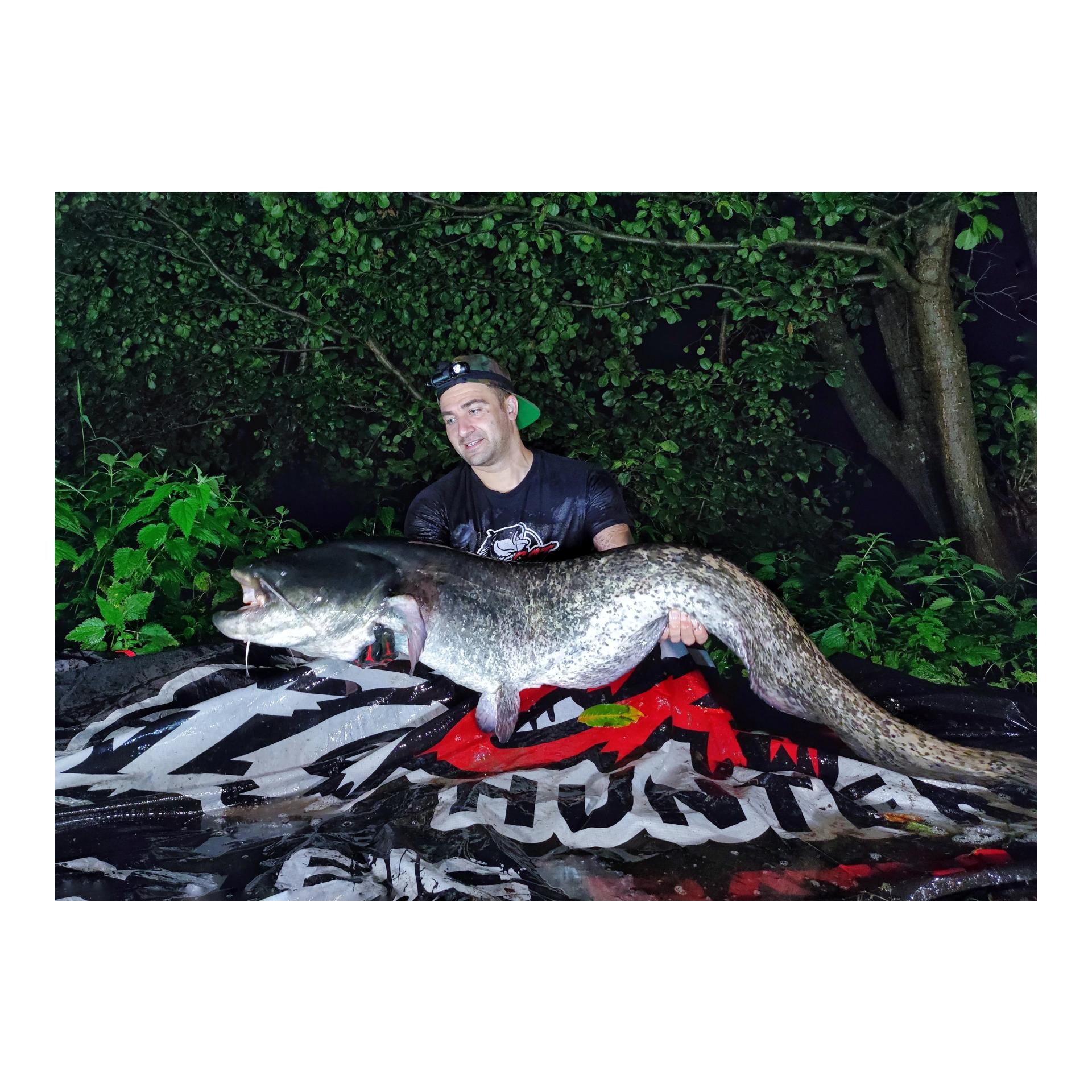 Bigcat Hunter Waller Abhakmatte