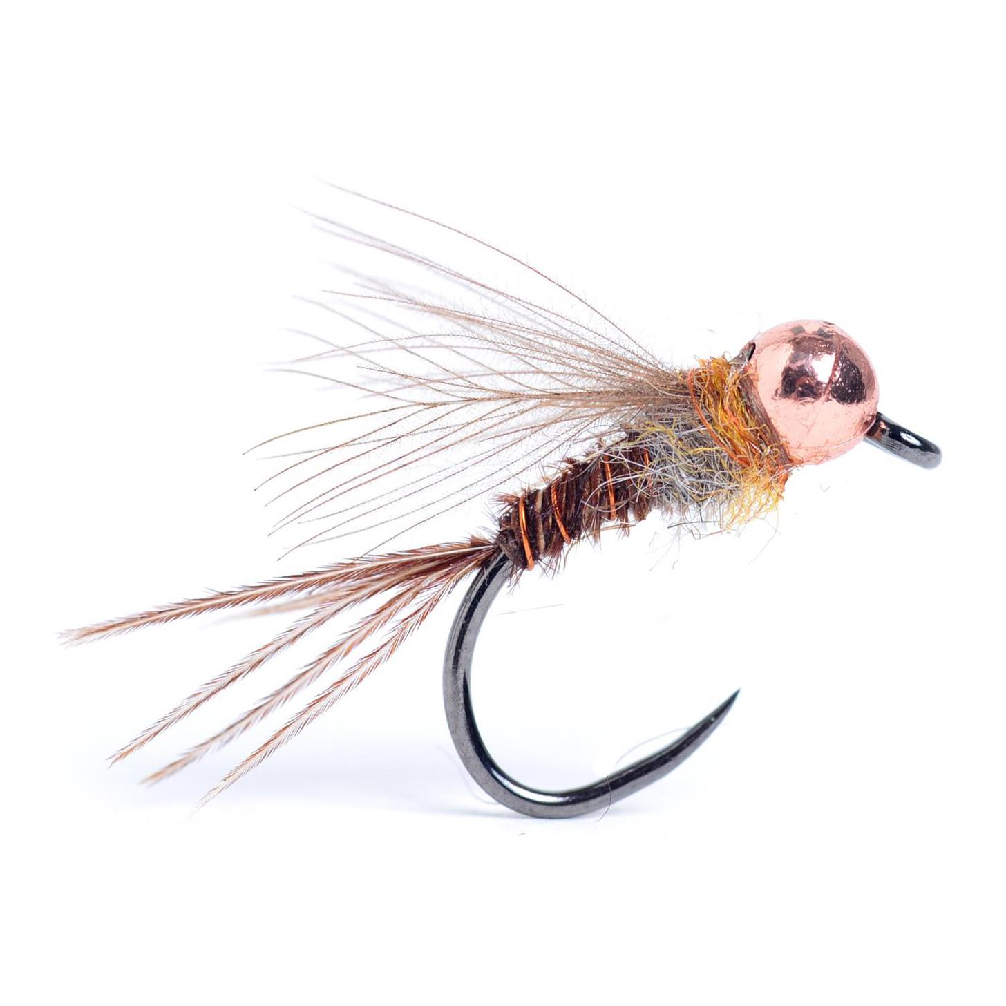 Sweet Pheasant - Nymphe