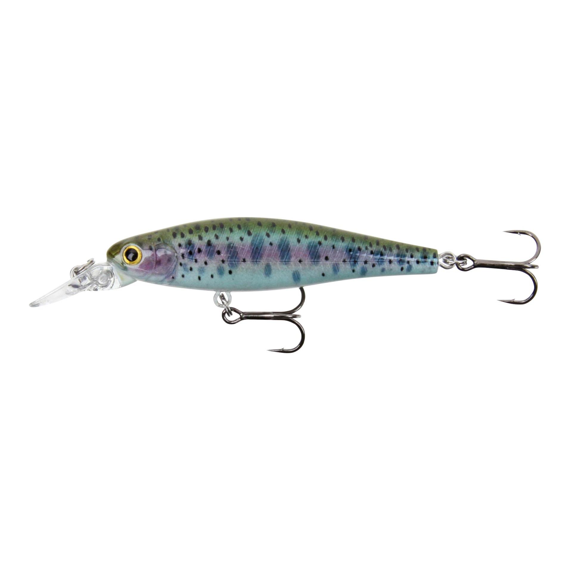 Rainbow Trout