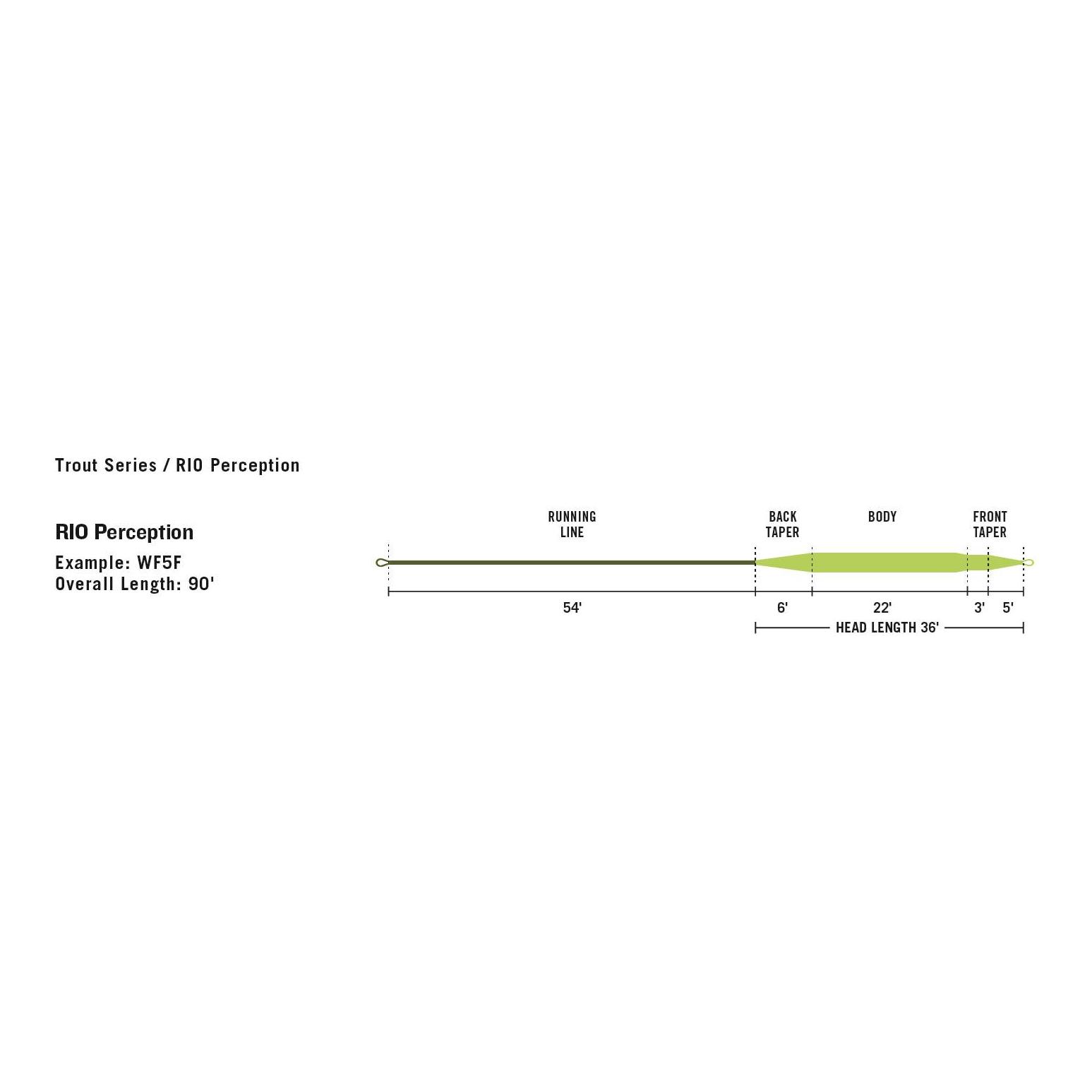 Perception Premier WF-F - Fliegenschnur - Produktbild 2