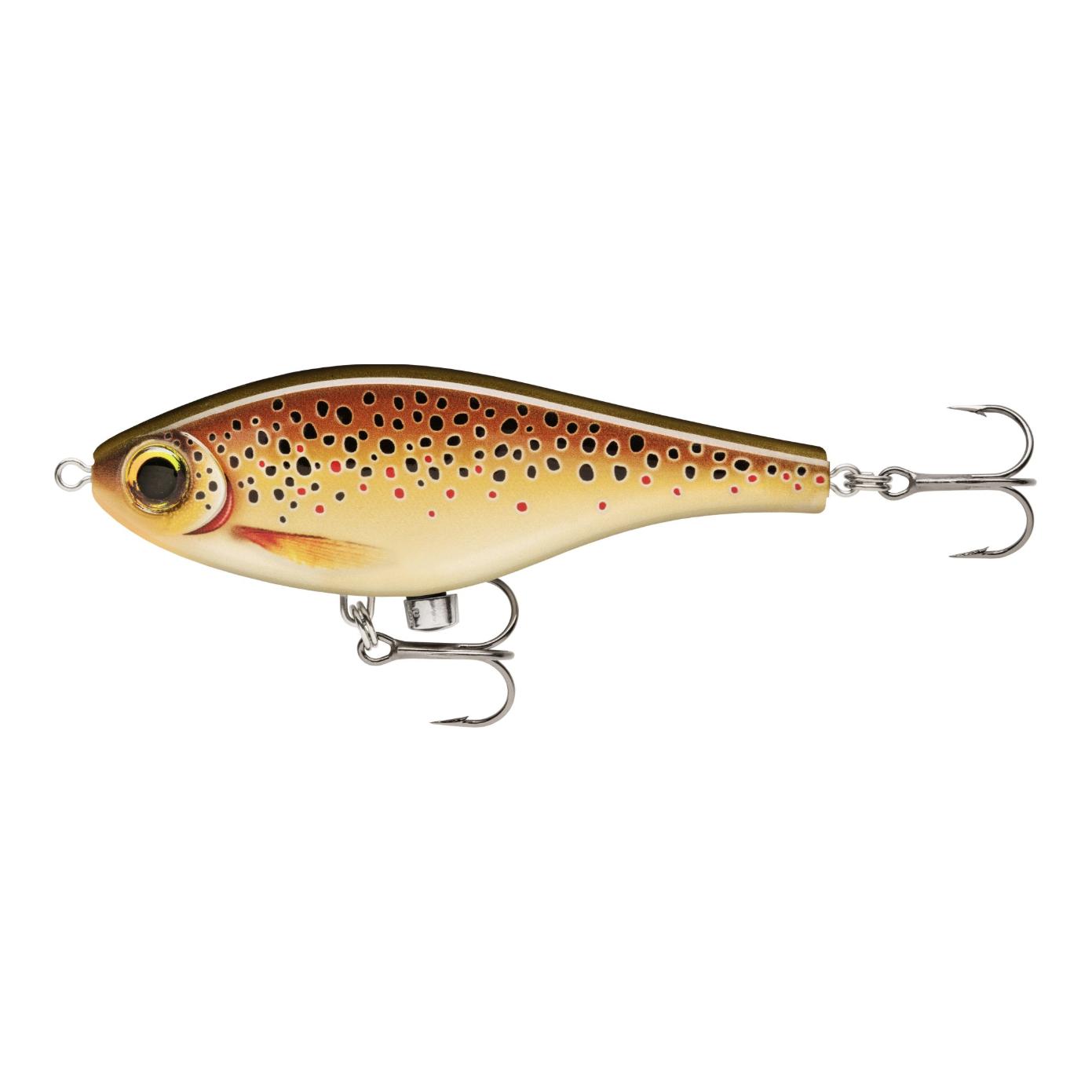 Live Brown Trout