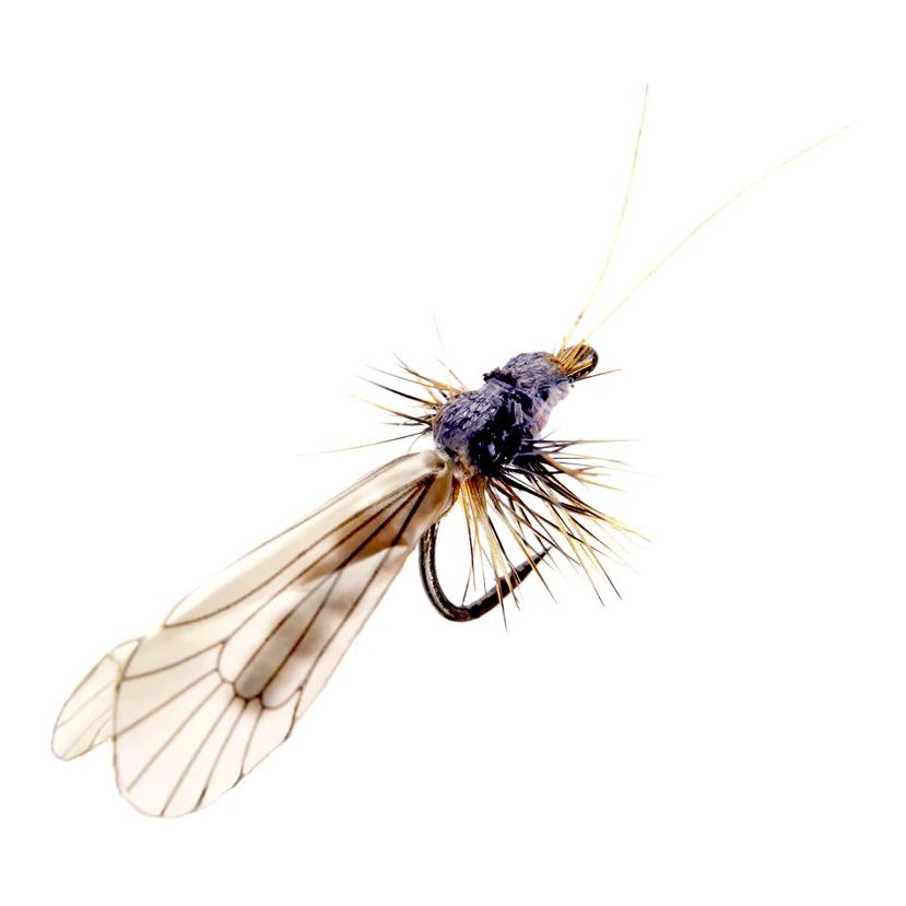 Caddis Adult - Trockenfliege