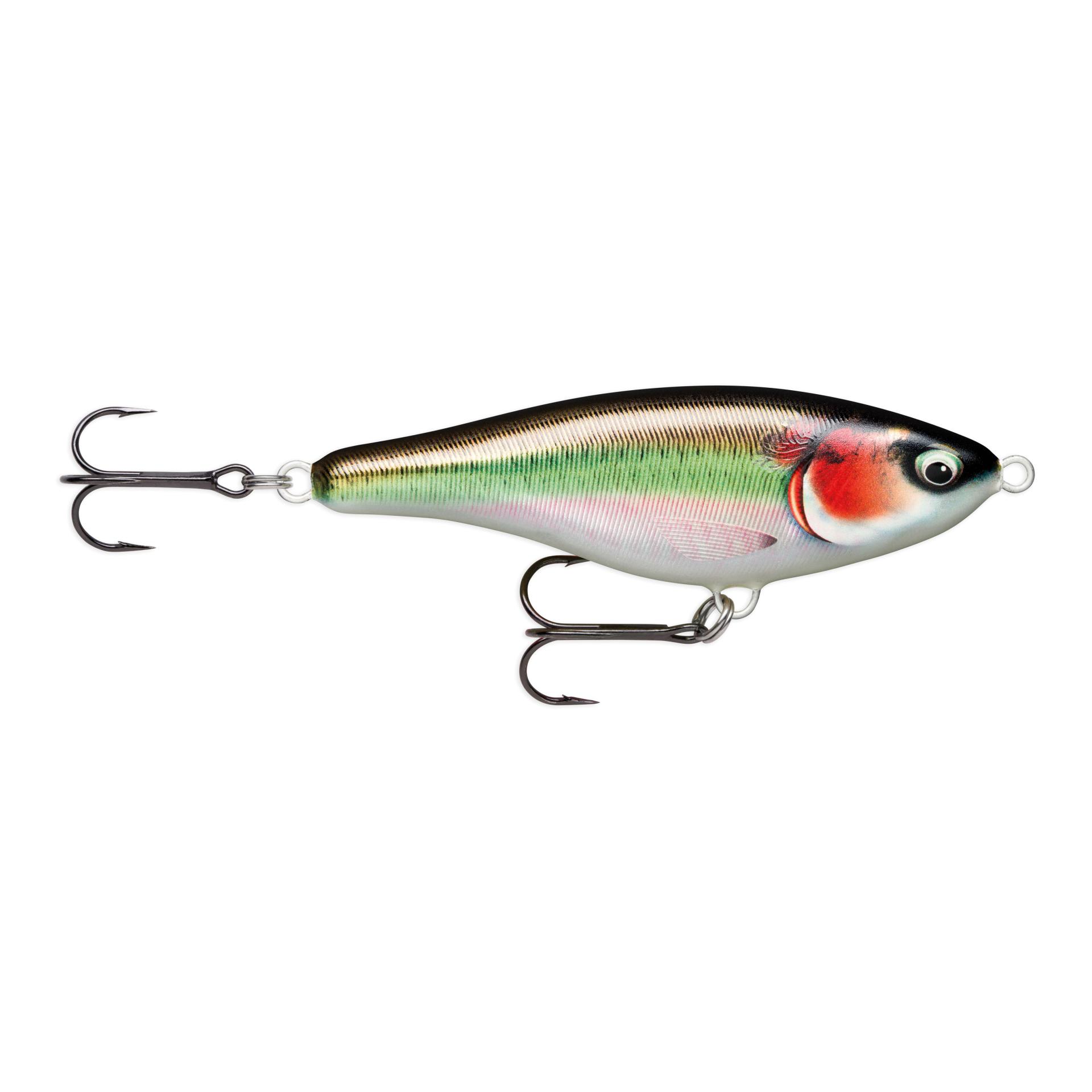 Yellow Shiner