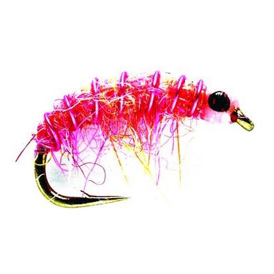 Micro Shrimp Pink - Nymphe - Produktbild 1