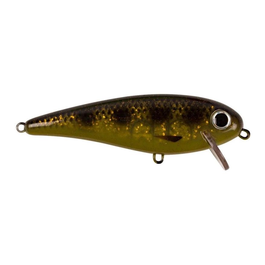 Spotted Bullhead