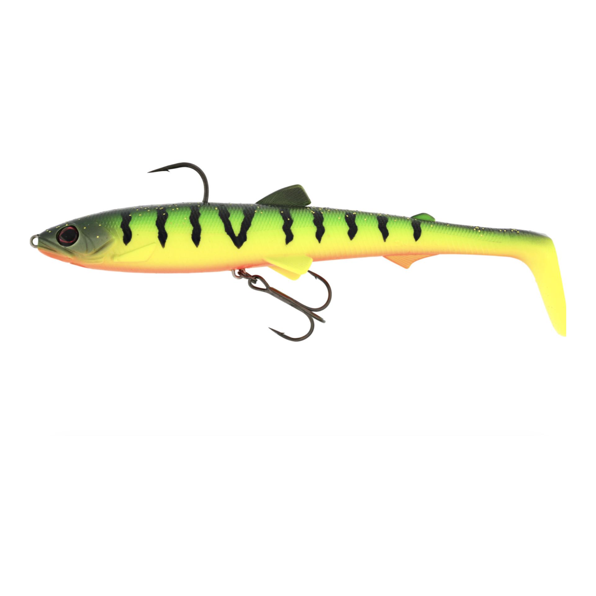 Tiger Perch