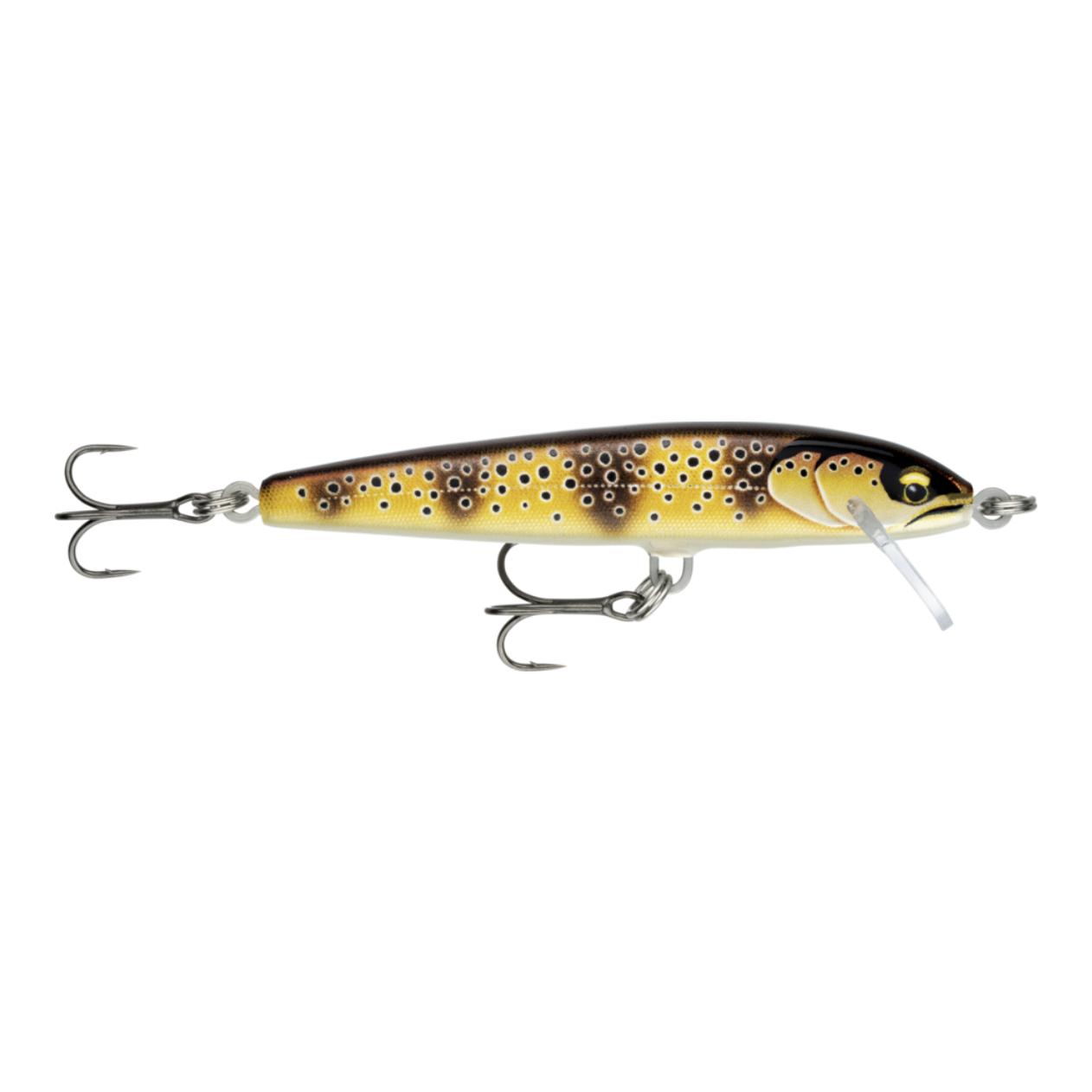 Gilded Mediterranean Trout