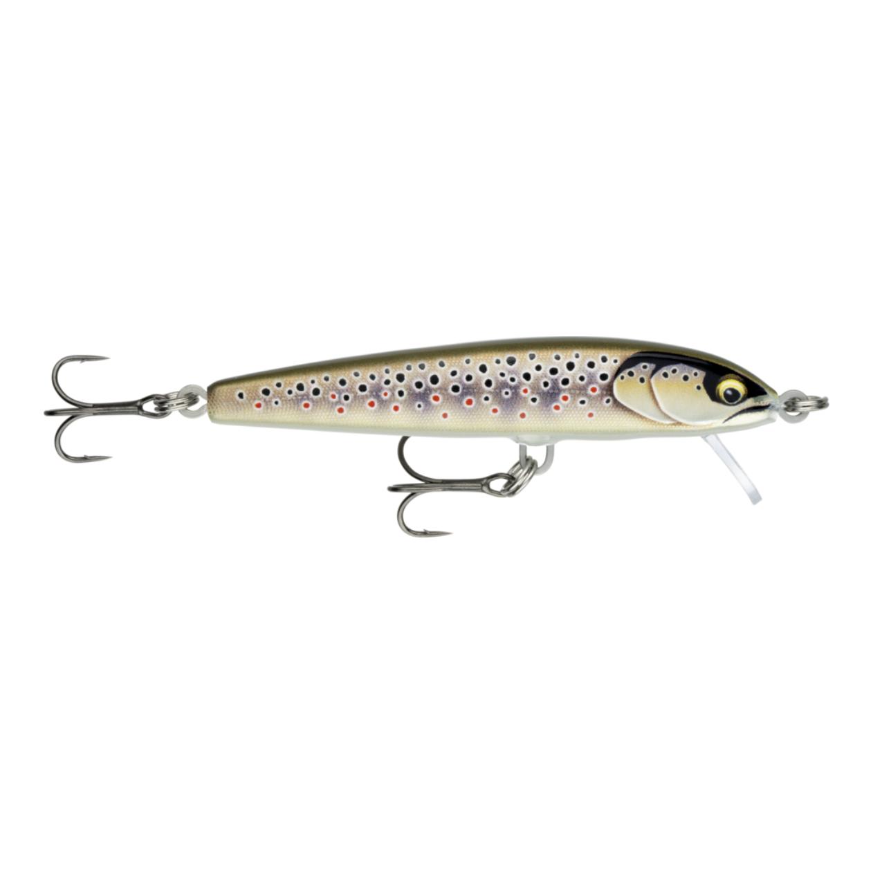 Gilded Brown Trout