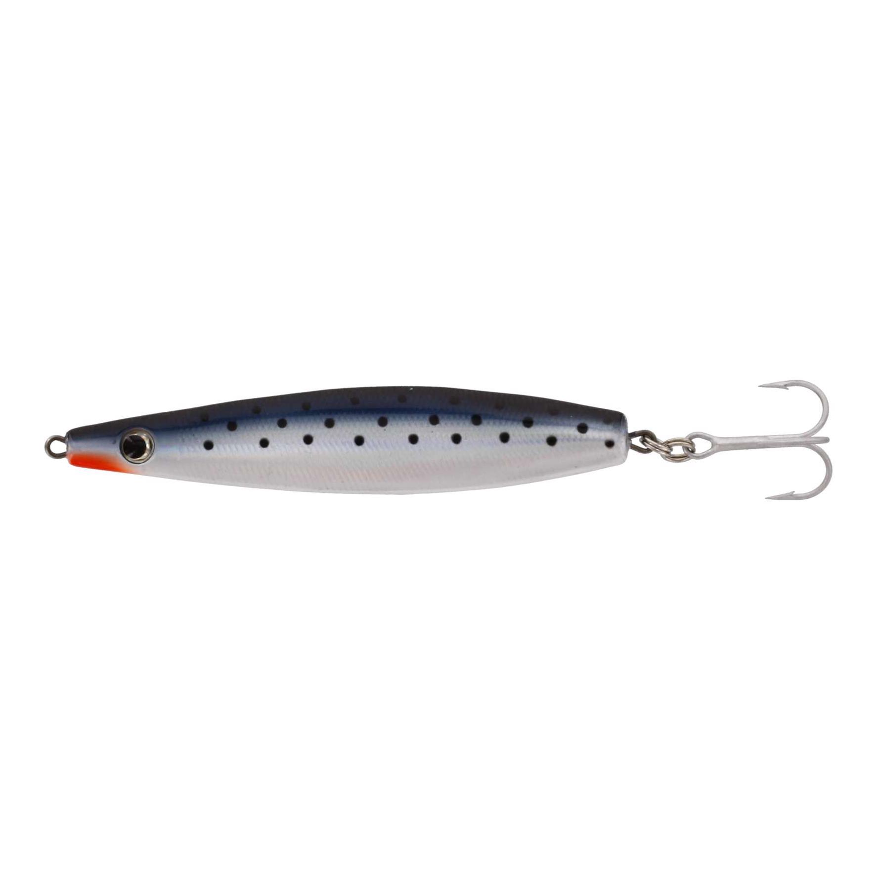 Dotted Sardine