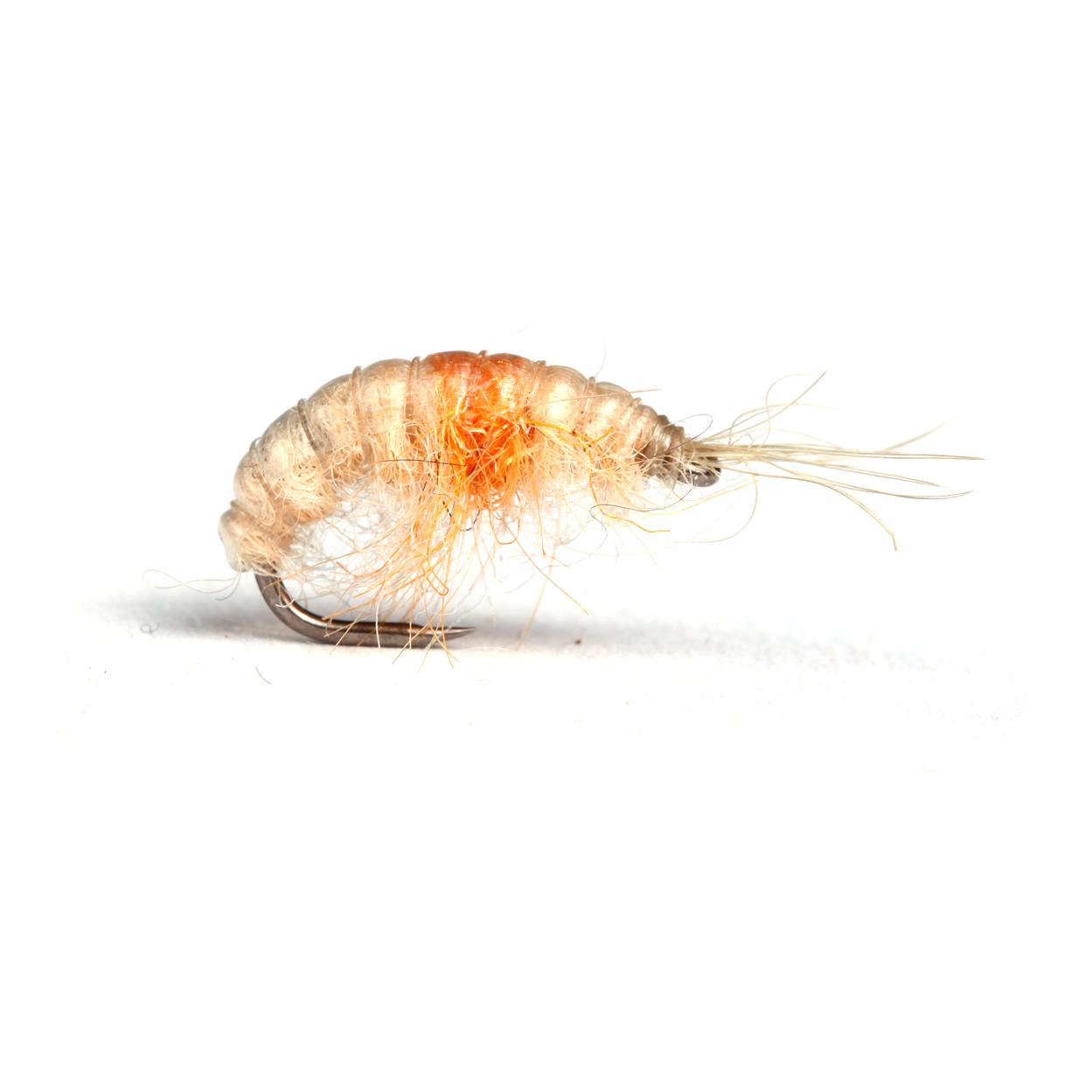 Cream/Orange