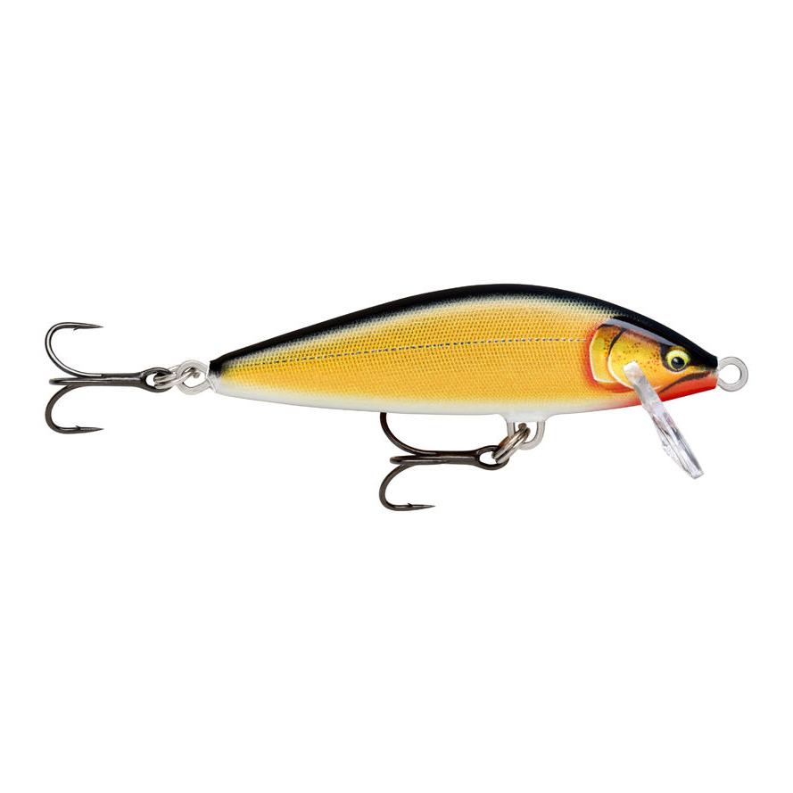 Gilded Gold Shad